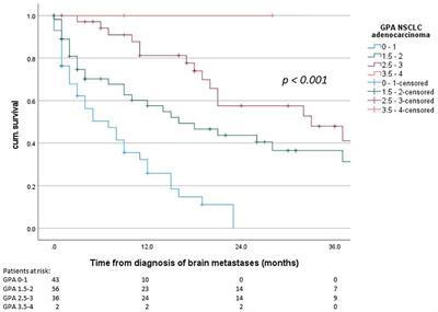 Validation and discussion of clinical practicability of the 2022 graded prognostic assessment for NSCLC adenocarcinoma patients with brain metastases in a routine clinical cohort